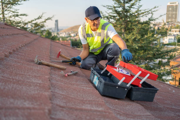 Best Carpet Removal and Disposal  in Incline Village, NV